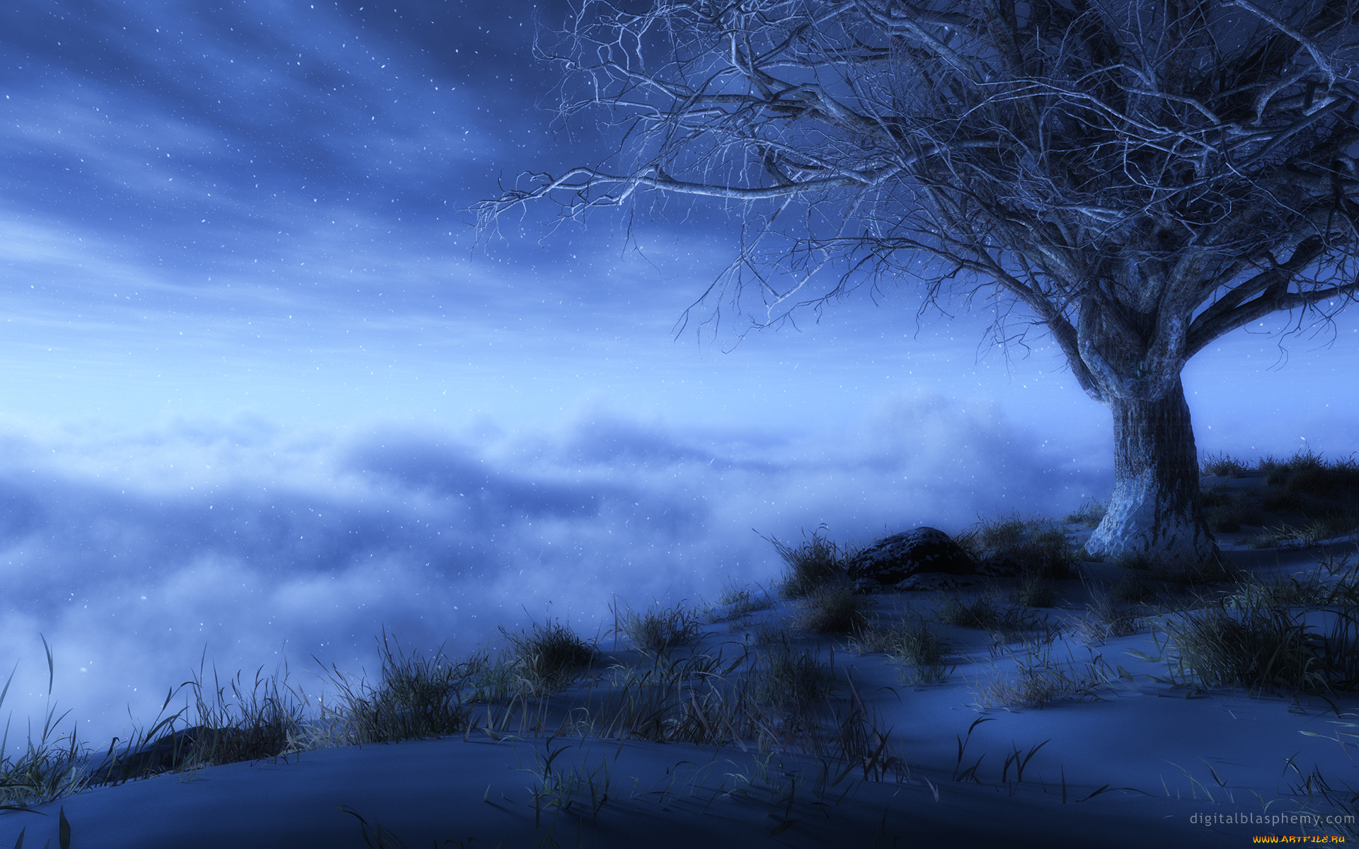 3, , nature, landscape, 